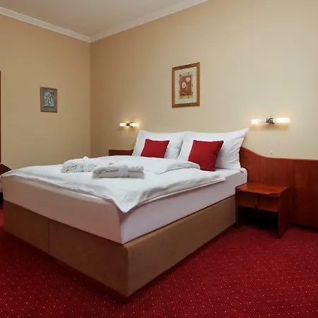 Wellness Luzan Otel
