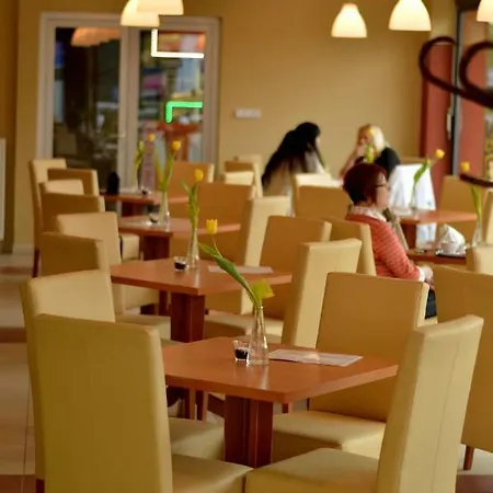 Otel Wellness Luzan 4*