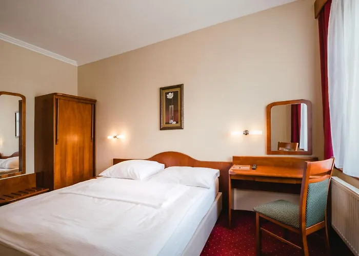 Wellness Luzan ホテル 4*