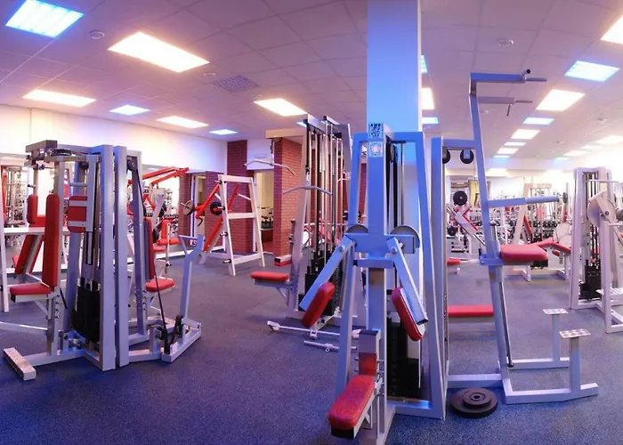 ホテル Wellness Luzan 4*
